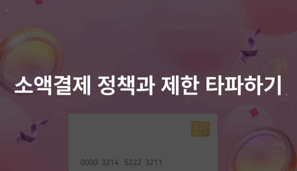 소액결제 정책과 제한